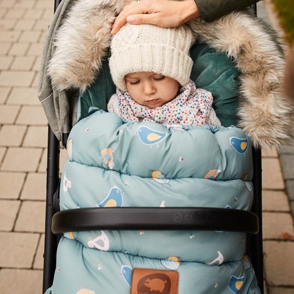 Pink no more, Śpiwór do wózka zimowy - Crazy Birds