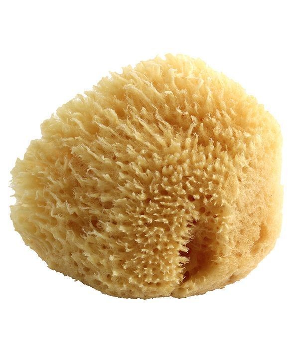 Poupy, Naturalna Gąbka Morska dla Dzieci i Niemowląt, 0m+