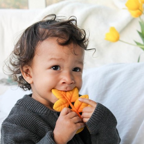 Lanco, Gryzak Listek Klonu