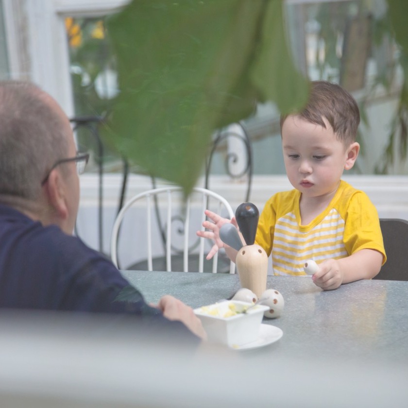 Plan Toys, Pastelowy balansujący kaktus Plan Toys, Pastelowy balansujący kaktus