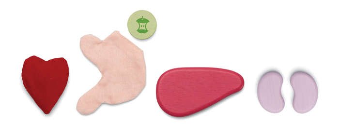 Plan Toys, Zestaw chirurgiczny Plan Toys, Zestaw chirurgiczny