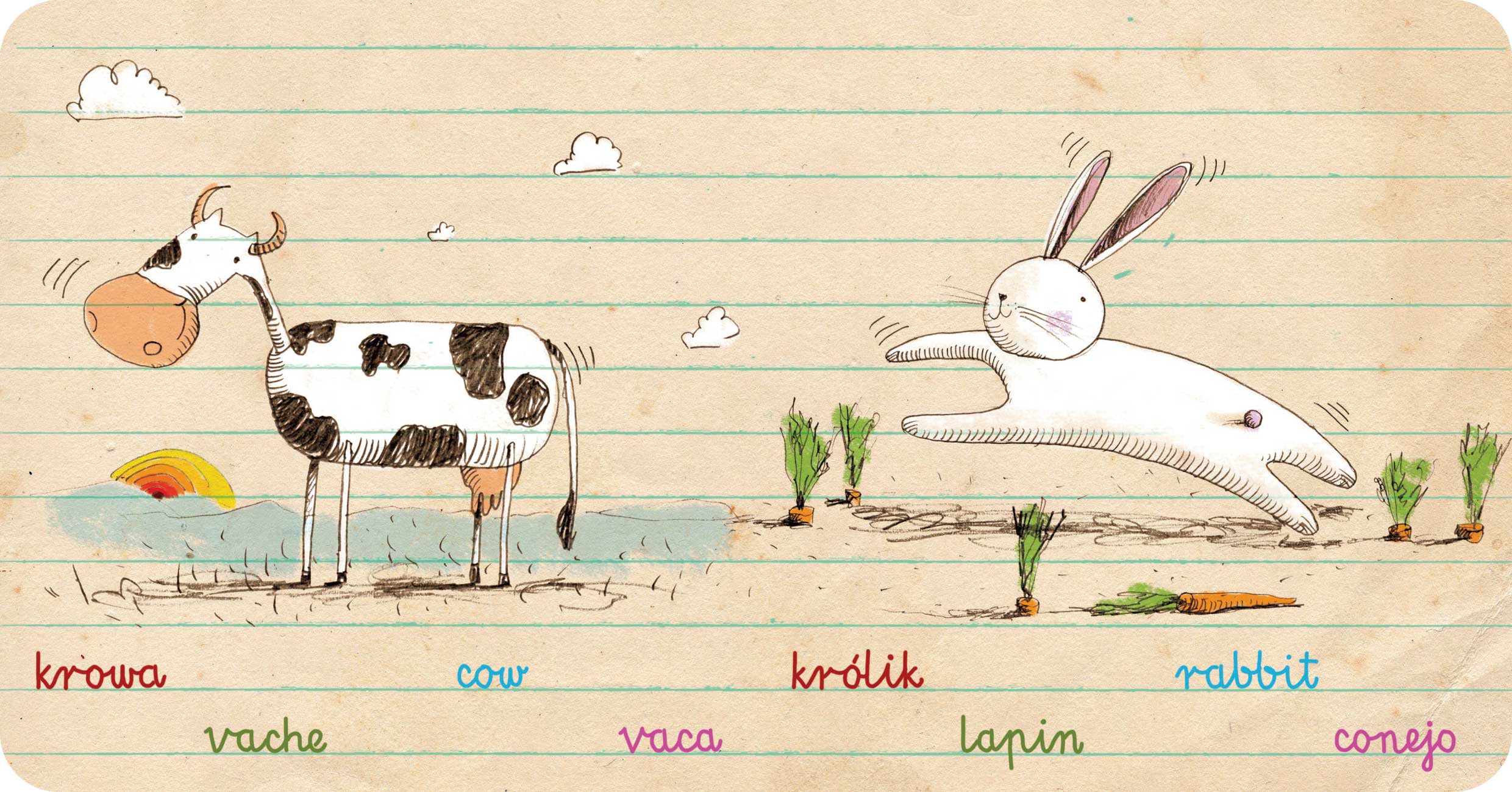 Zwierzęta, Animals, Animaux, Animales