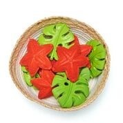 Lanco, gryzak Monstera Lanco, gryzak Monstera