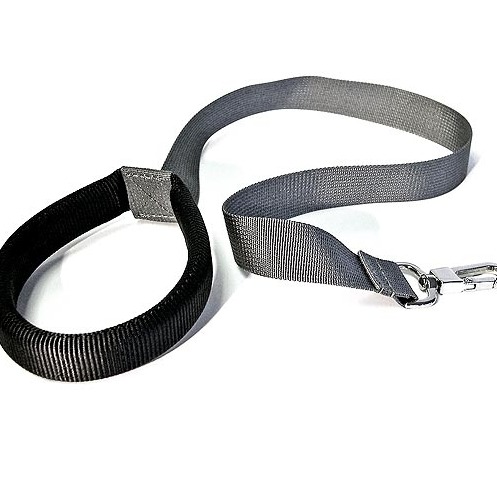 Plecaczek ze smyczą    Pszczoła Plecaczek ze smyczą    Pszczoła