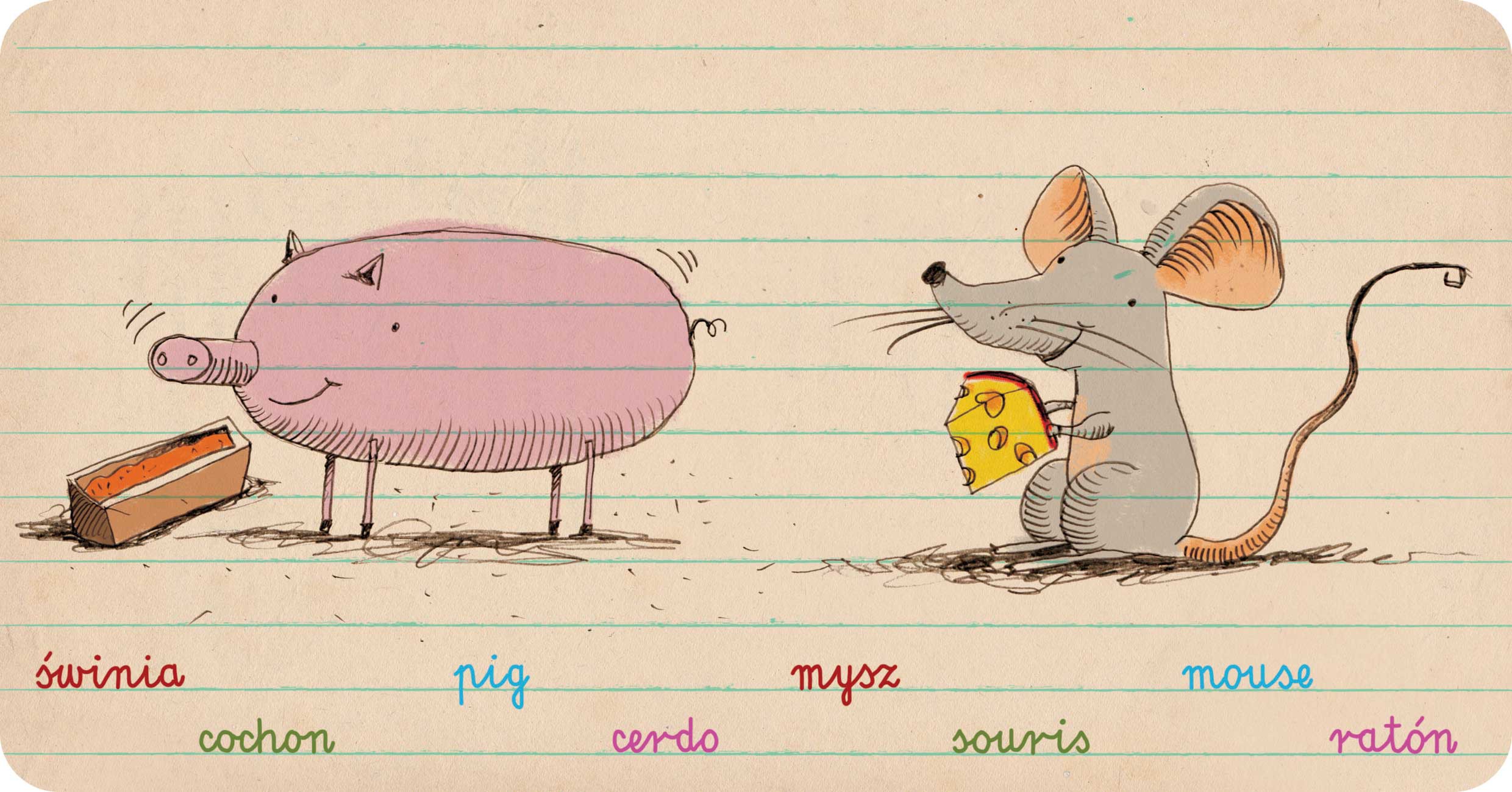 Zwierzęta, Animals, Animaux, Animales