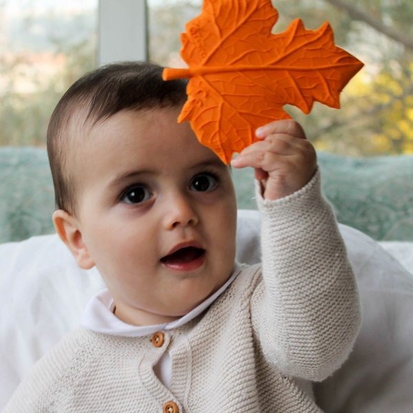 Lanco, Gryzak Listek Klonu