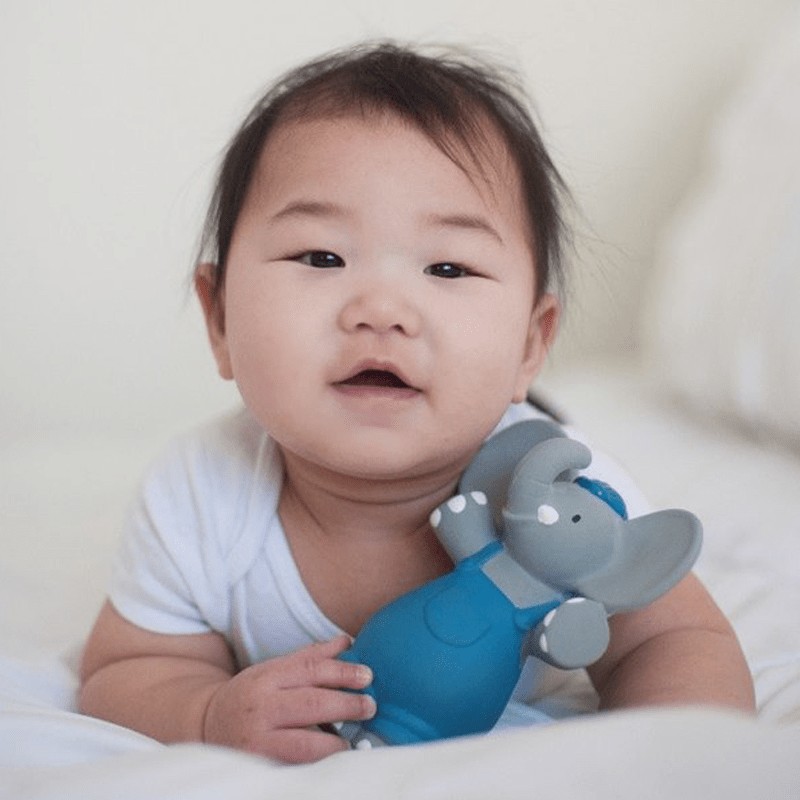 Meiya & Alvin, Organizczny gryzak z piszczałką Alvin