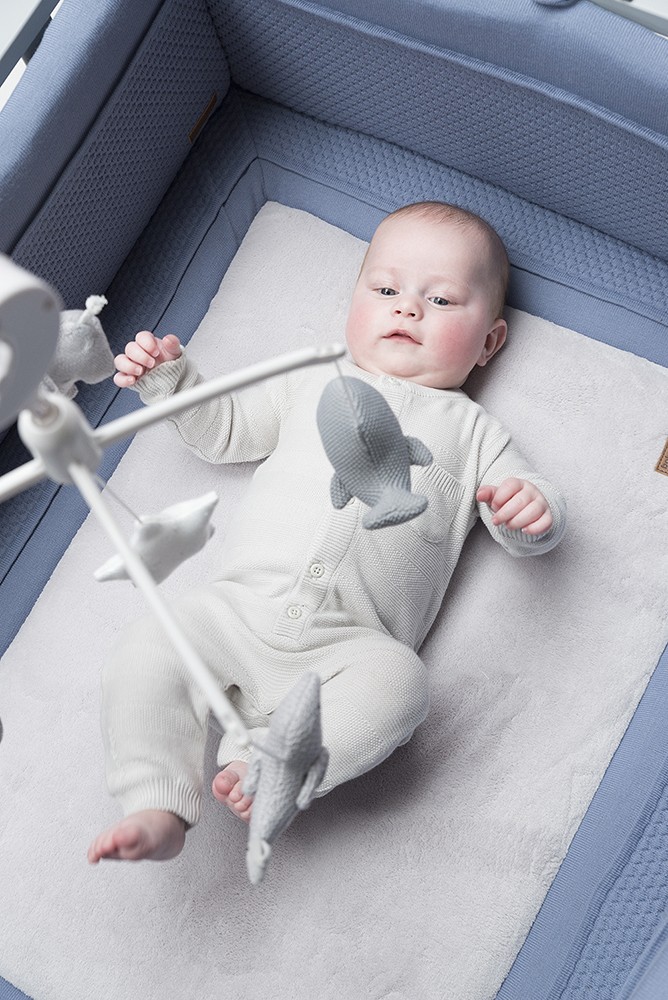 Baby's Only, Karuzela grająca ze zwierzątkami, szara