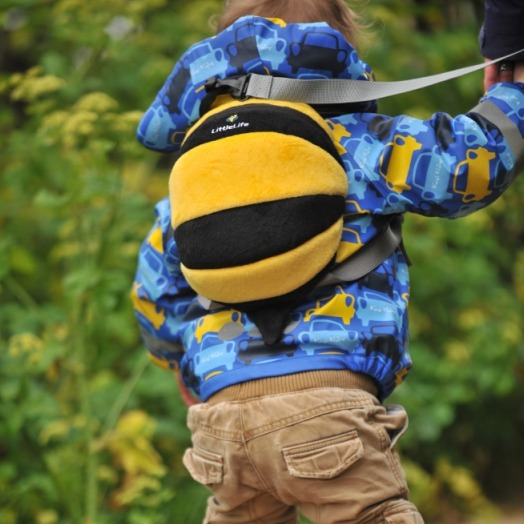 Plecaczek ze smyczą    Pszczoła Plecaczek ze smyczą    Pszczoła