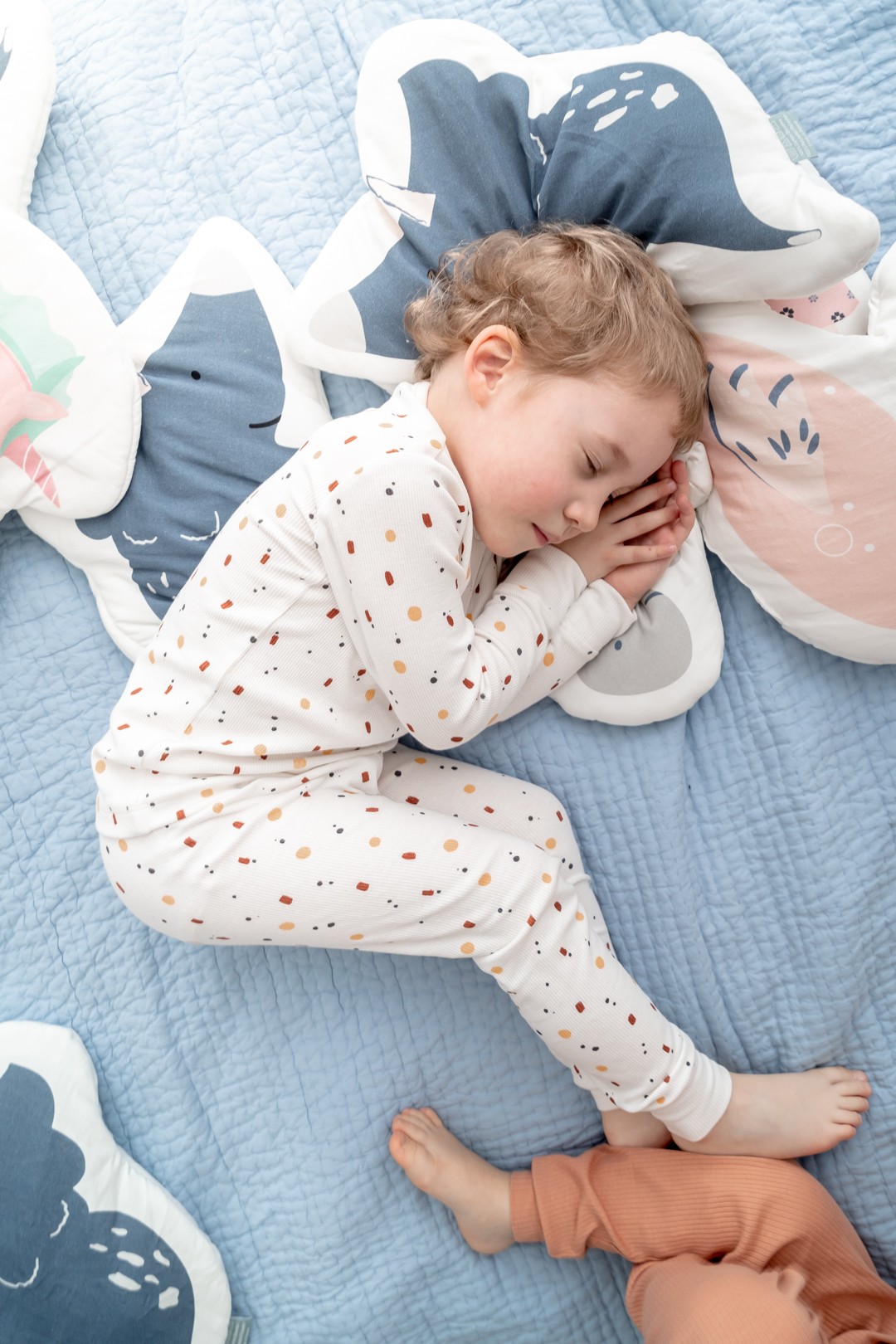 Snap the moment, Poduszka diplodok