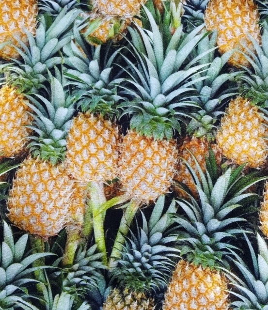 Pink no more, Otulacz BAMBUSOWE ANANASY 120x120cm