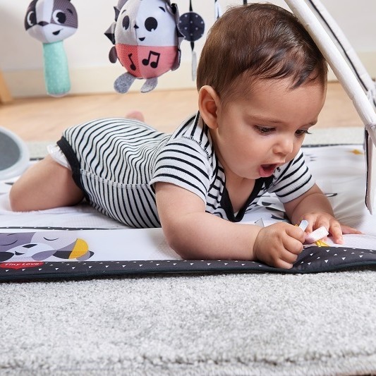 Tiny Love, Gimnastyka dla bobasa z pałąkami - Magiczna Kraina - czarno-biała