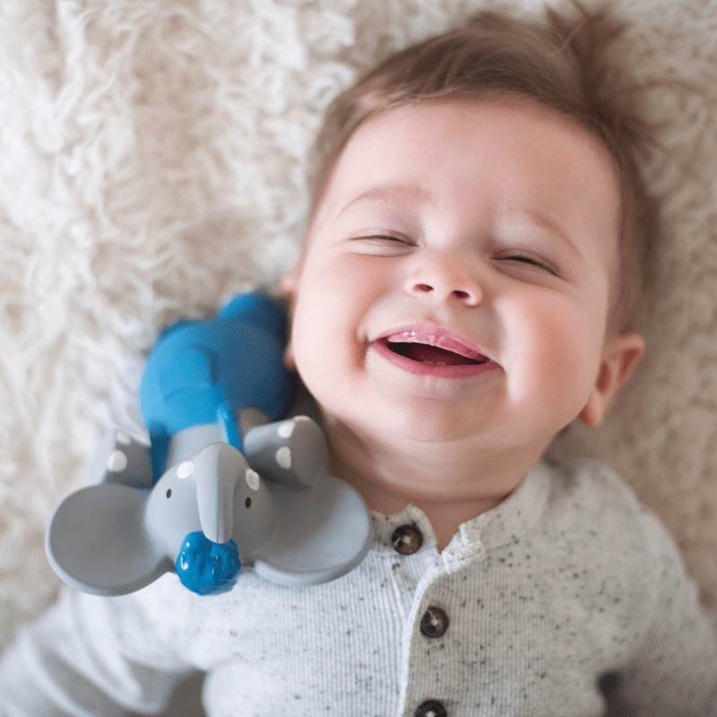 Meiya & Alvin, Organizczny gryzak z piszczałką Alvin