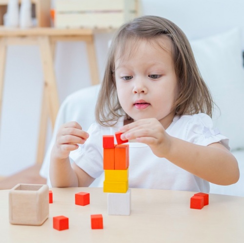 Plan Toys, Kostki Ułamki - dopasowanie elementów Plan Toys, Kostki Ułamki - dopasowanie elementów