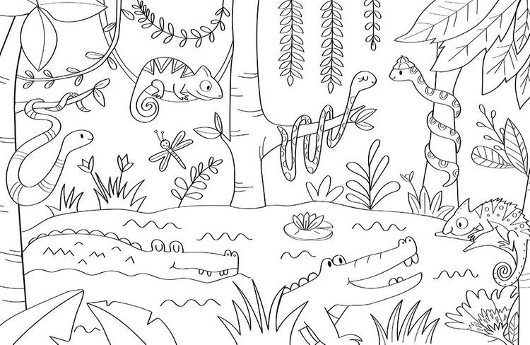 Auzou, Duża kolorowanka Zwierzęta świata