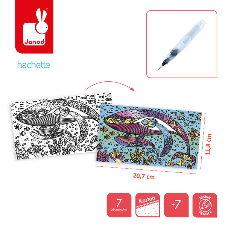 Janod, Zestaw kreatywny Magiczne kolorowanki wodne Ocean 7+ Janod, Zestaw kreatywny Magiczne kolorowanki wodne Ocean 7+