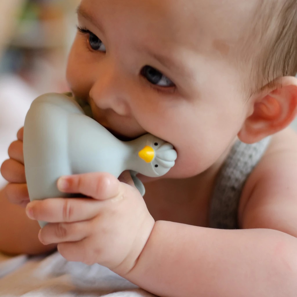 Natruba, Naturalny gryzak, zabawka do kąpieli, Paw, jasnoniebieski Natruba, Naturalny gryzak, zabawka do kąpieli, Paw, jasnoniebieski