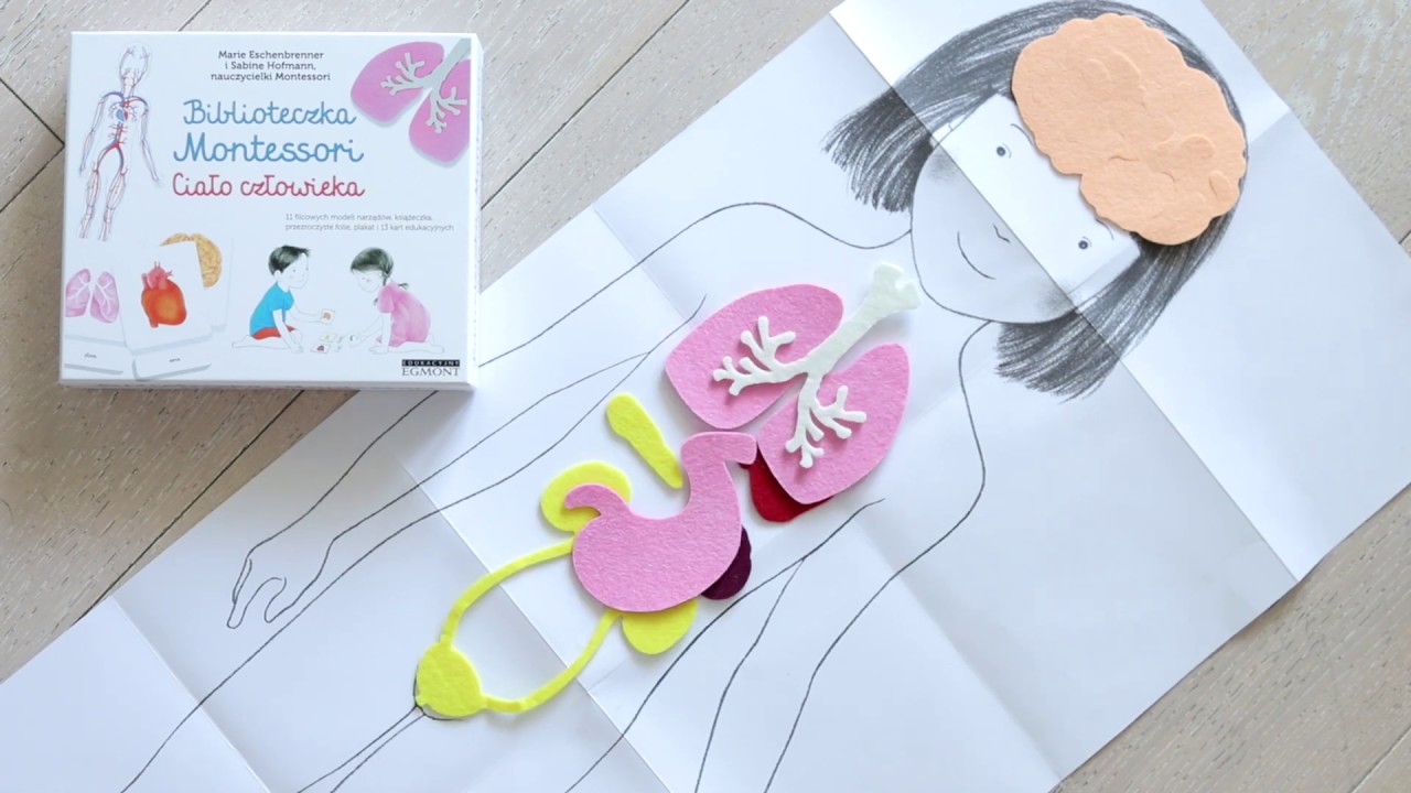 Ciało Człowieka Biblioteczka Montessori, Marie Eschenbrenner, Sabine Hofmann