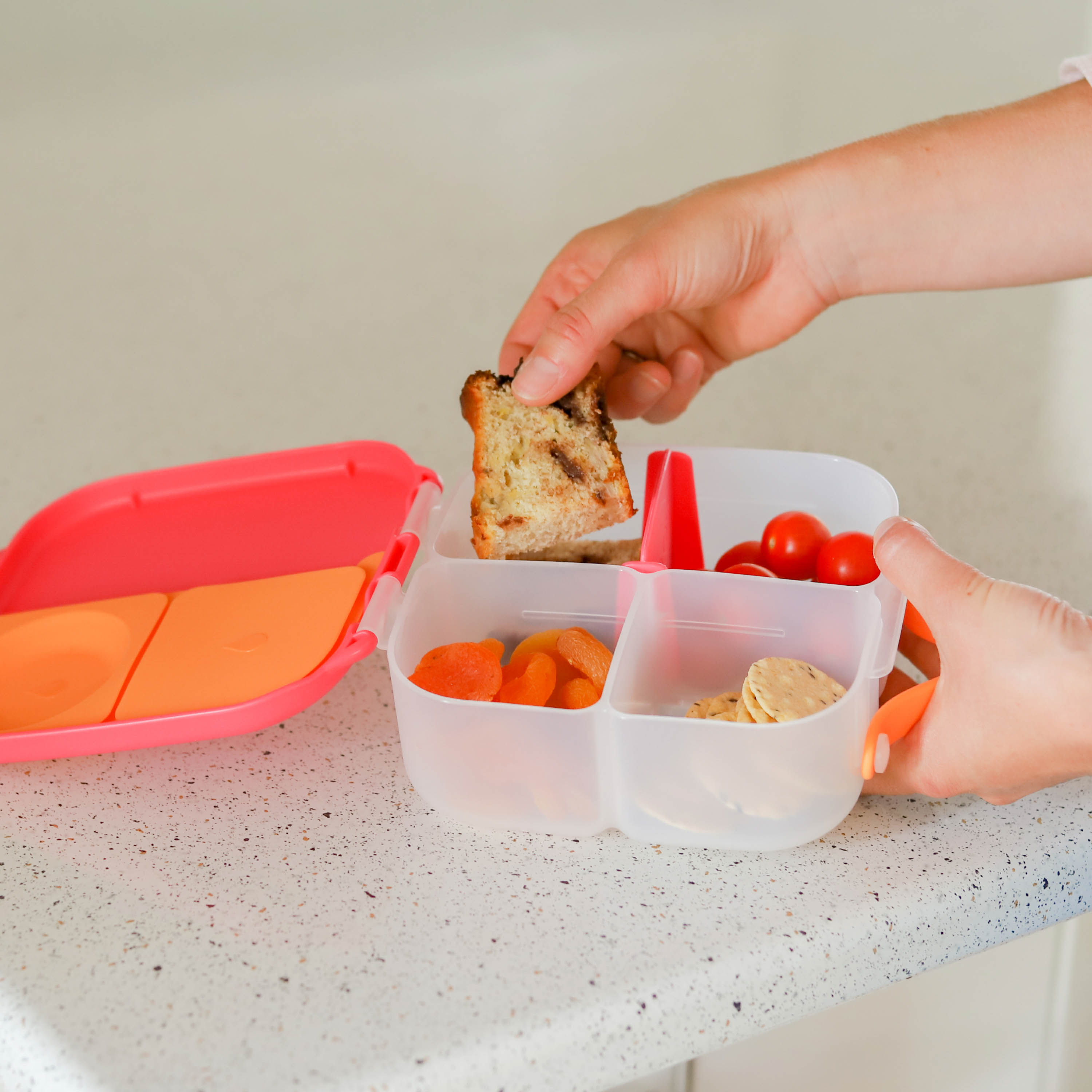 B.box, Mini lunchbox - Indigo Rose