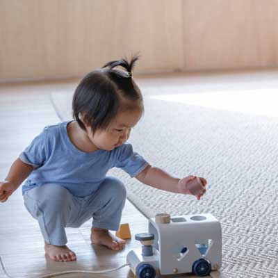 Plan Toys, Autobus - sorter - barwy sadu Plan Toys, Autobus - sorter - barwy sadu