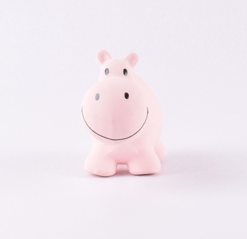 Tikiri, Gryzak zabawka Hipopotam Zoo w opakowaniu