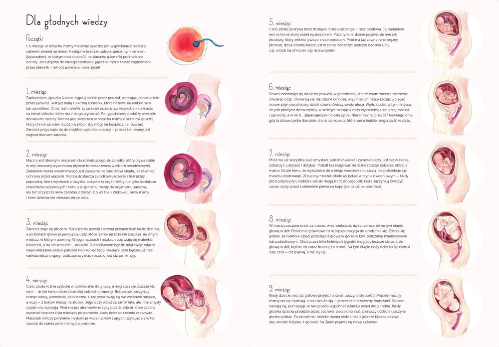 Babaryba, 9 miesięcy. Od zarodka do noworodka