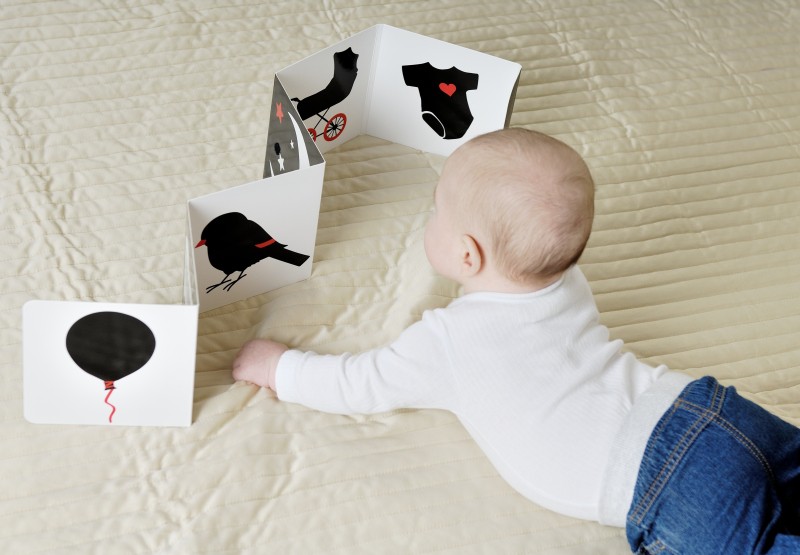 Oczami Maluszka  książeczka kontrastowa Harmonijka