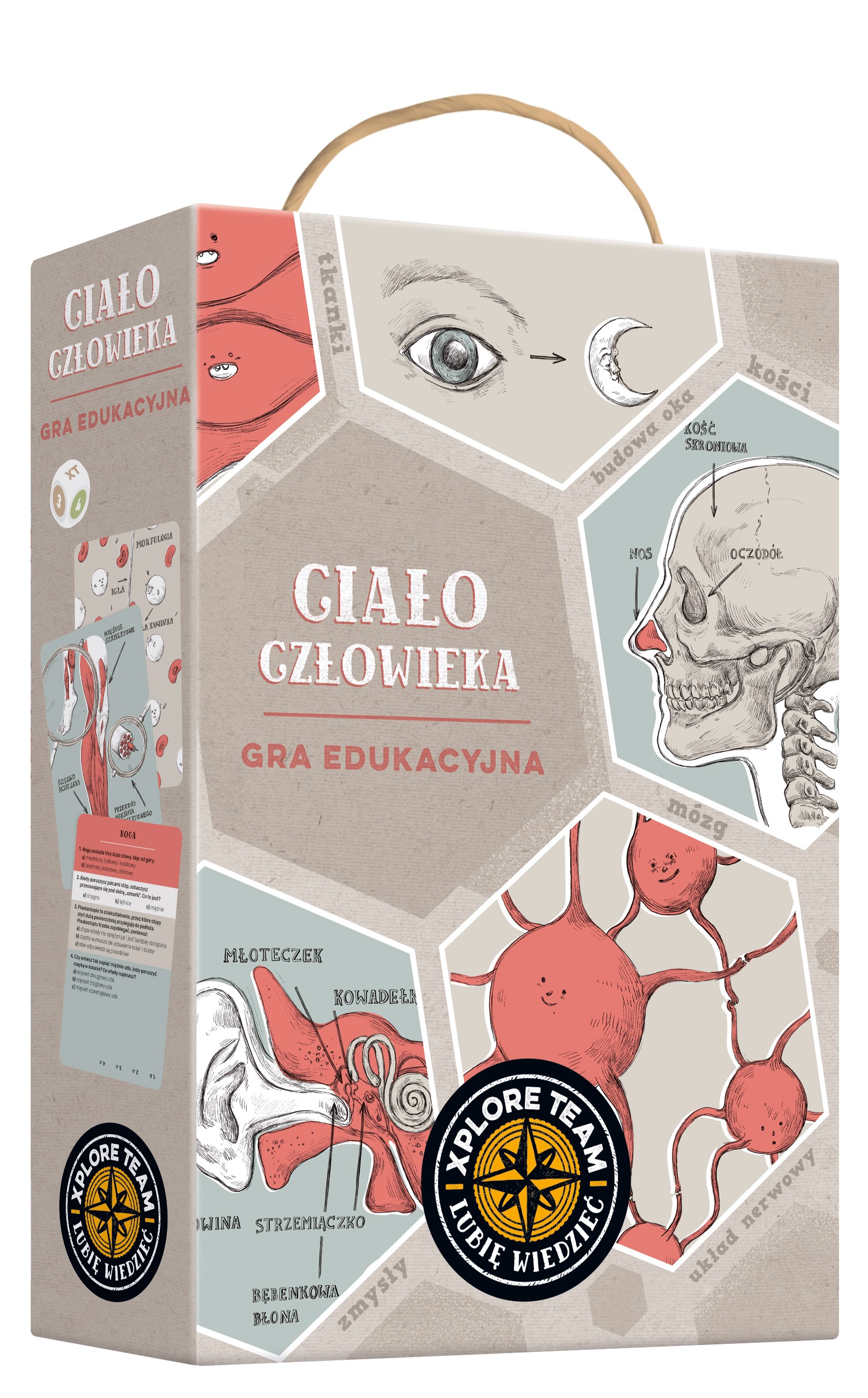 Gra edukacyjna ciało człowieka xplore team Gra edukacyjna ciało człowieka xplore team