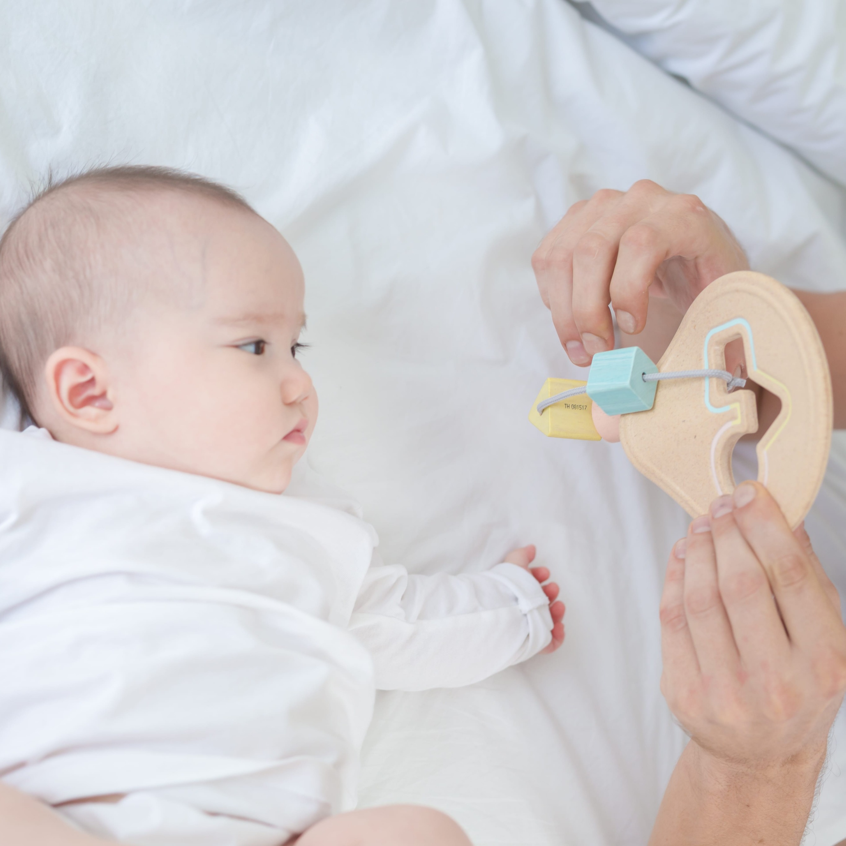 Plan Toys, Pastelowy pierwszy sorter Plan Toys, Pastelowy pierwszy sorter