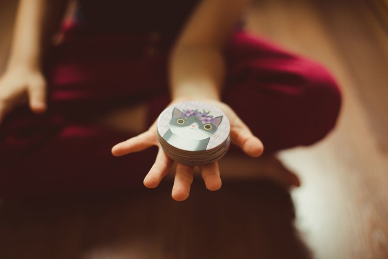 Mudpuppy, Gra Mini Memory Koty