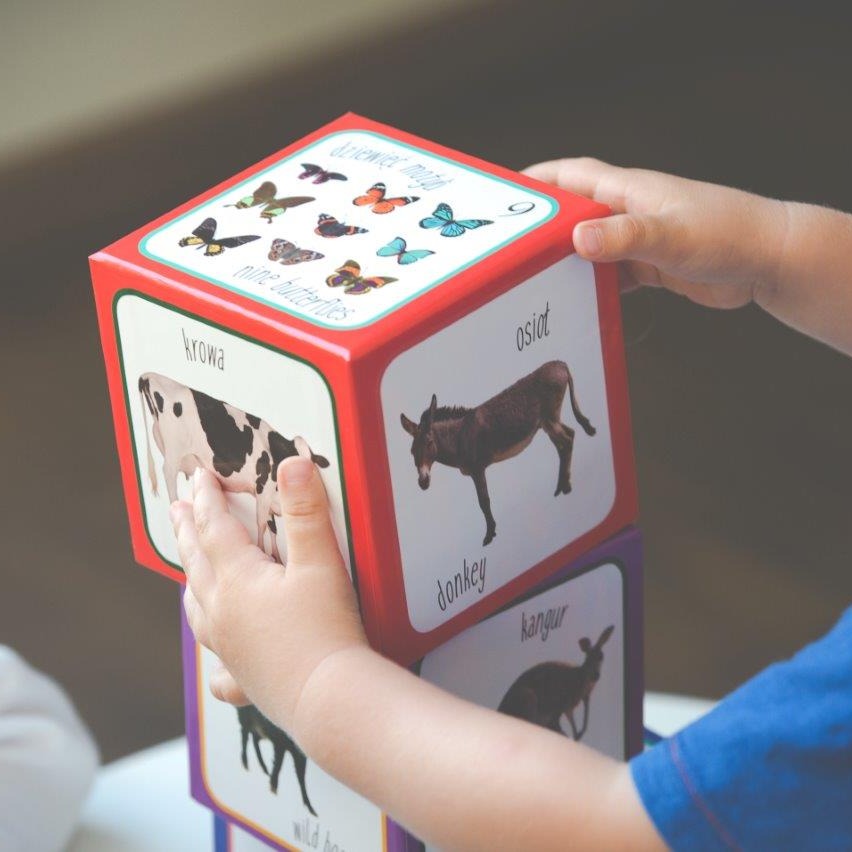 Piramida Zabaw, Kartonowe klocki dla dzieci Zwierzęta Piramida Zabaw, Kartonowe klocki dla dzieci Zwierzęta