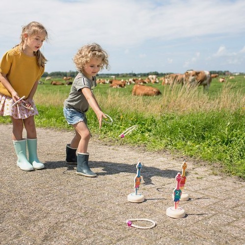 BS Toys, Rzut obręczą do celu Ptaki BS Toys, Rzut obręczą do celu Ptaki