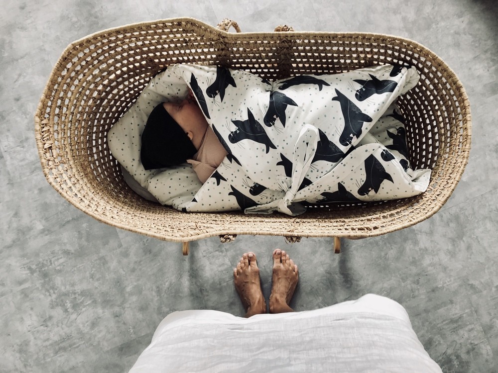 La Millou, Baby Horn - Parrot Lover & Parrot Spots La Millou, Baby Horn - Parrot Lover & Parrot Spots