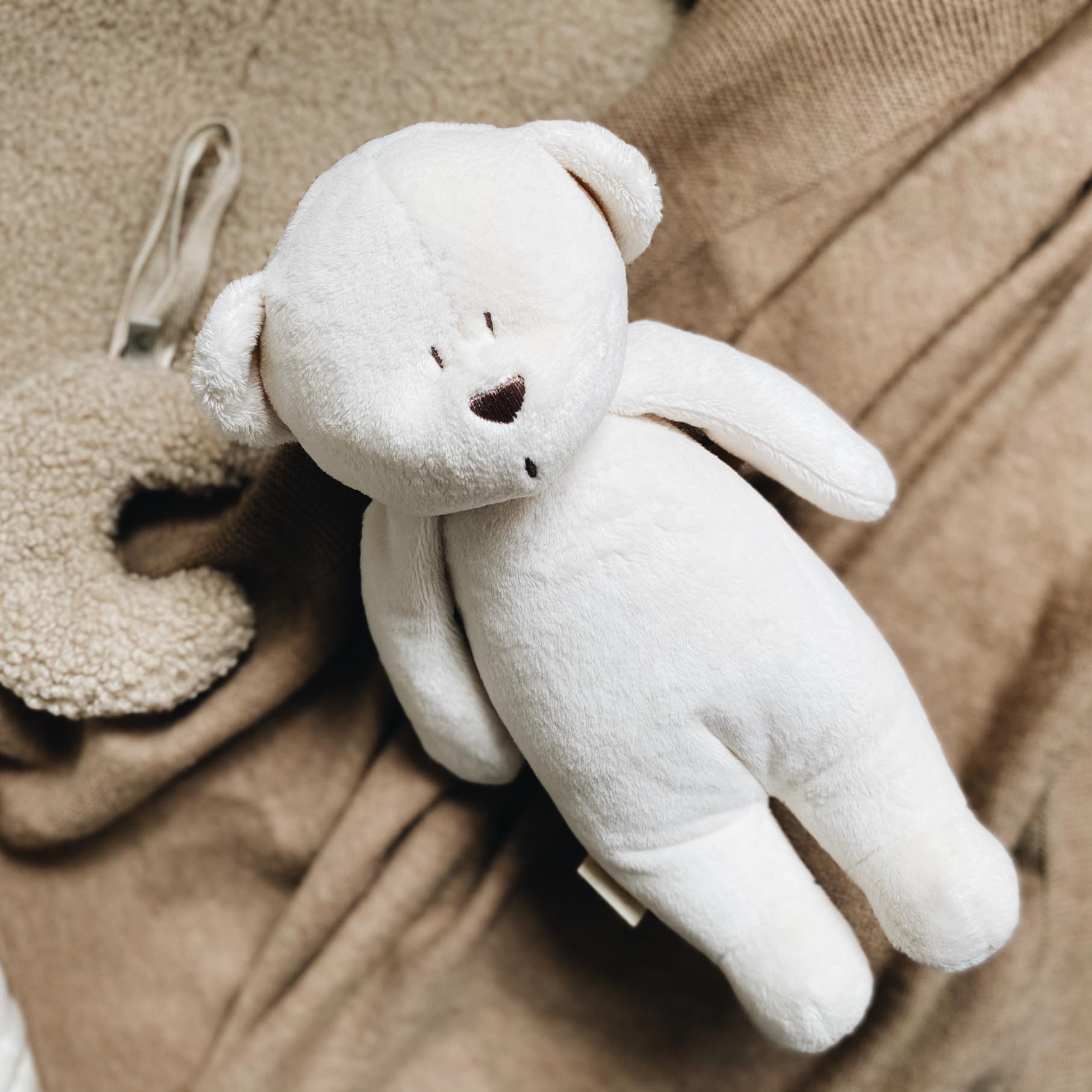 Moonie, Szumiący miś z lampką Cream