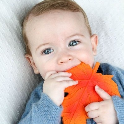 Lanco, Gryzak Listek Klonu