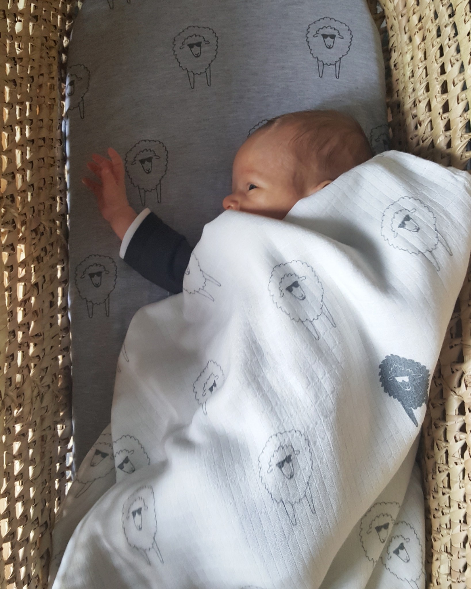 Muślinowa chusta - gangsta owce 120x120cm