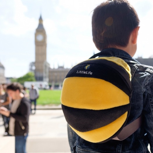 Plecaczek ze smyczą    Pszczoła Plecaczek ze smyczą    Pszczoła