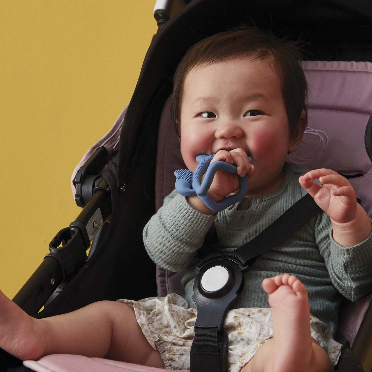 B.Box, Gryzak sensoryczny lisek, szałwia