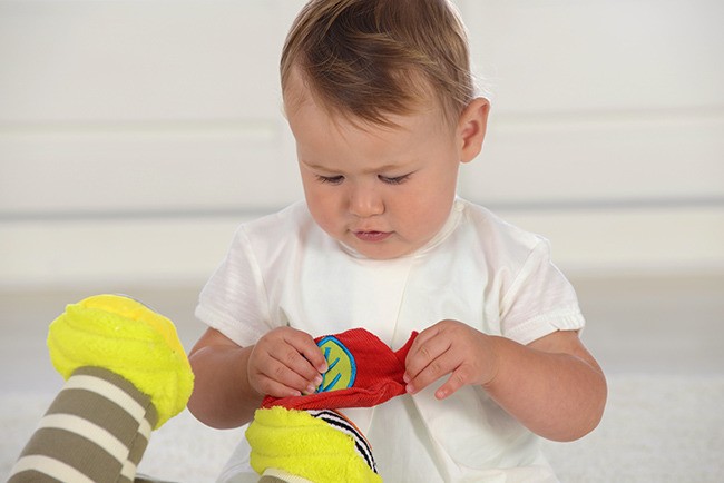 Dolce, Aktywizująca Zebra zabawka sensoryczna Dolce, Aktywizująca Zebra zabawka sensoryczna