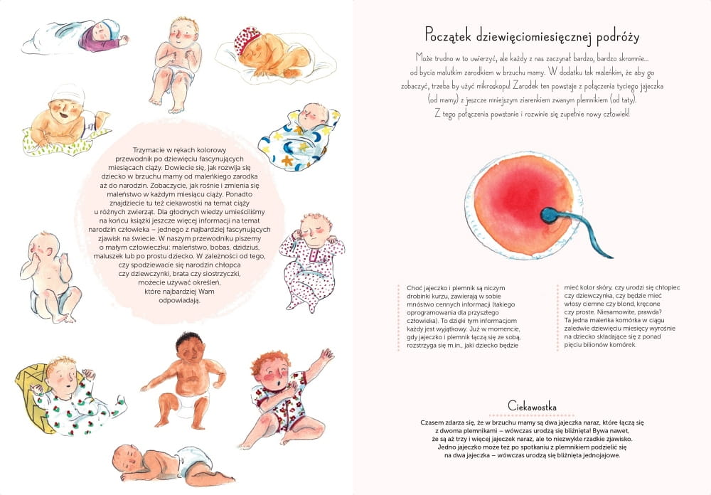 Babaryba, 9 miesięcy. Od zarodka do noworodka