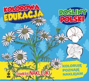 Rośliny polski kolorowa edukacja Rośliny polski kolorowa edukacja