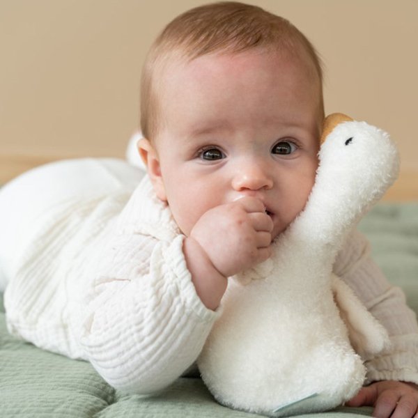 Little Dutch, Balansująca grzechotka z dźwiękiem Little Goose