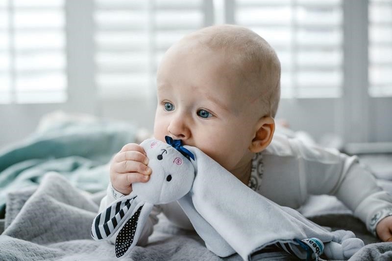 Whisbear, DouDou Kocyk Przytulanka Króliczek Friends of Whisbear®