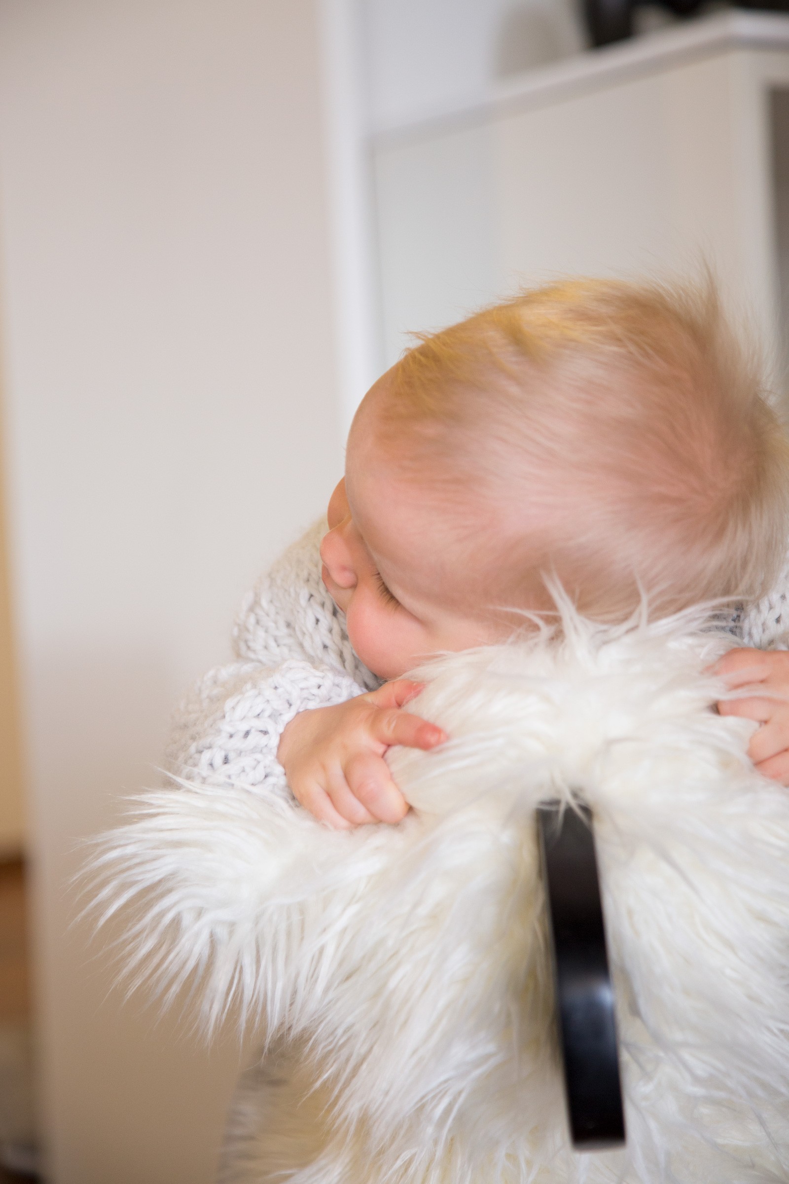 Childhome, Bujak owca biało-czarna Childhome, Bujak owca biało-czarna