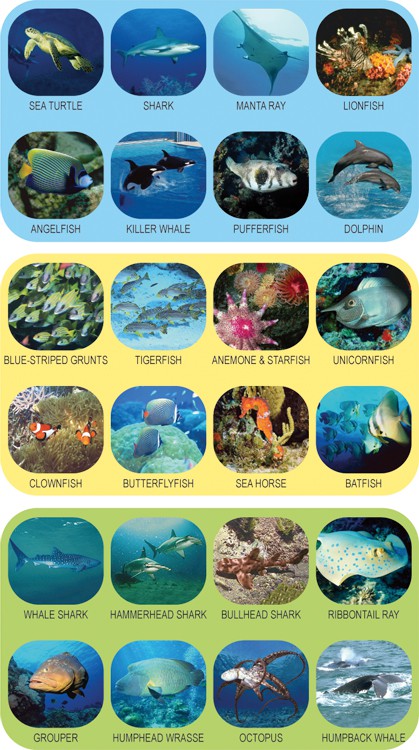 projektor PODWODNY ŚWIAT projektor PODWODNY ŚWIAT