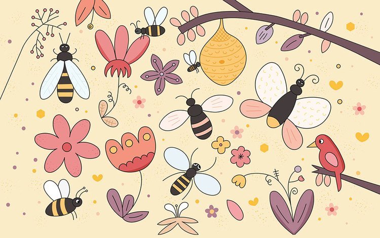 Auzou, Kolorowanka wodna Dzikie zwierzątka 3+