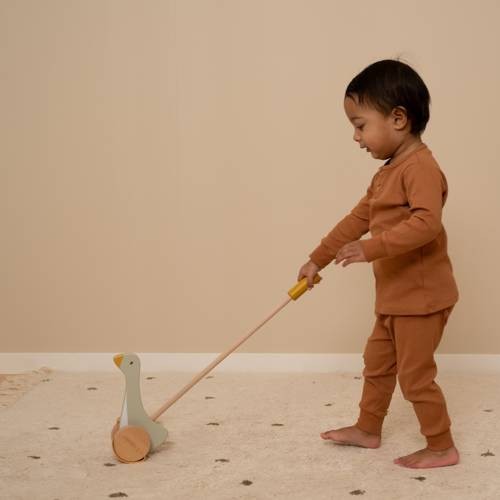 Little Dutch, Pchacz gąska Little Dutch, Pchacz gąska