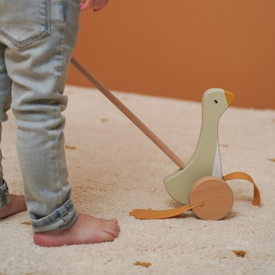 Little Dutch, Pchacz gąska Little Dutch, Pchacz gąska