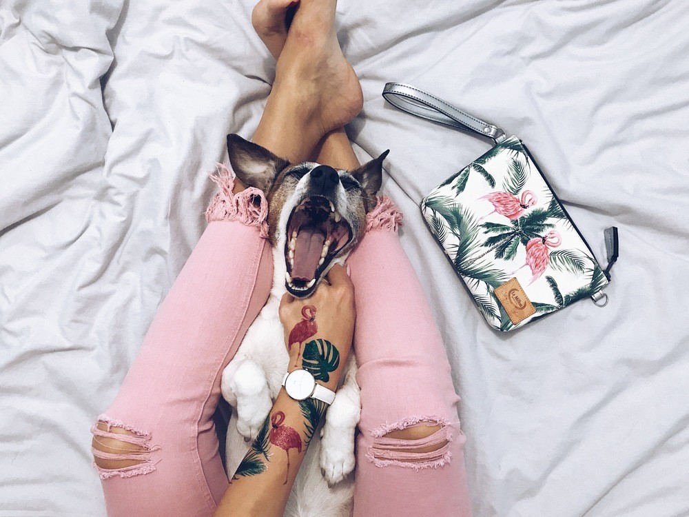 La Millou, By Katarzyna Zielińska La Millou Feeria - Saszetka - Paradise - Premium La Millou, By Katarzyna Zielińska La Millou Feeria - Saszetka - Paradise - Premium