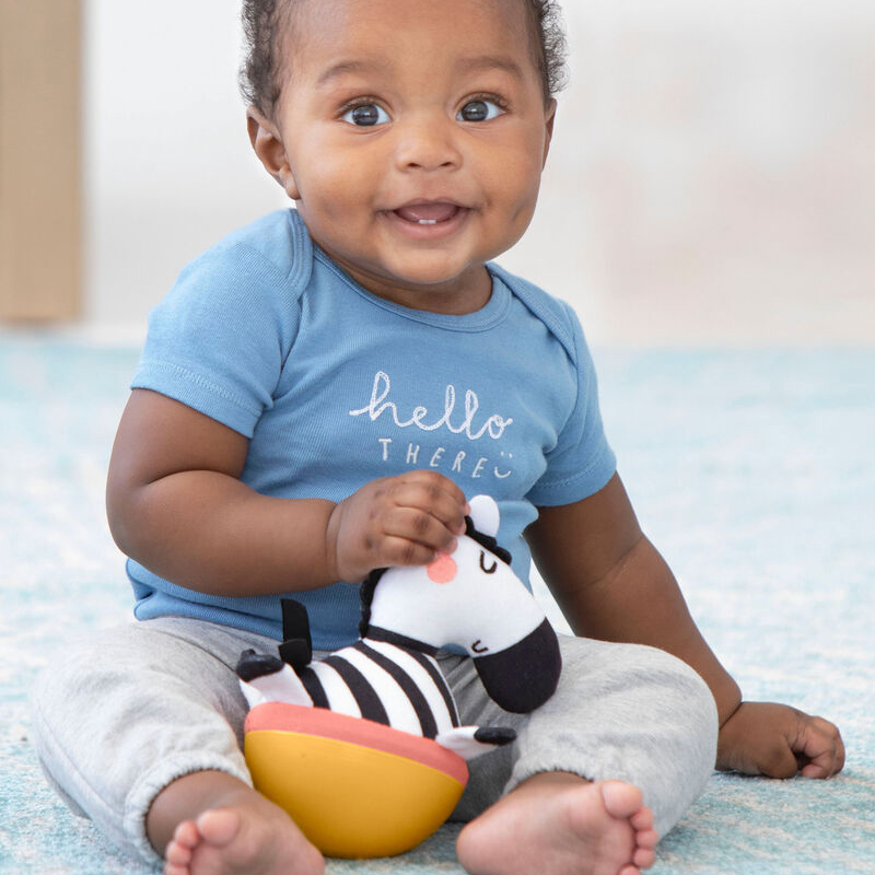 Skip Hop, Wańka wstańka Zebra ABC & Me